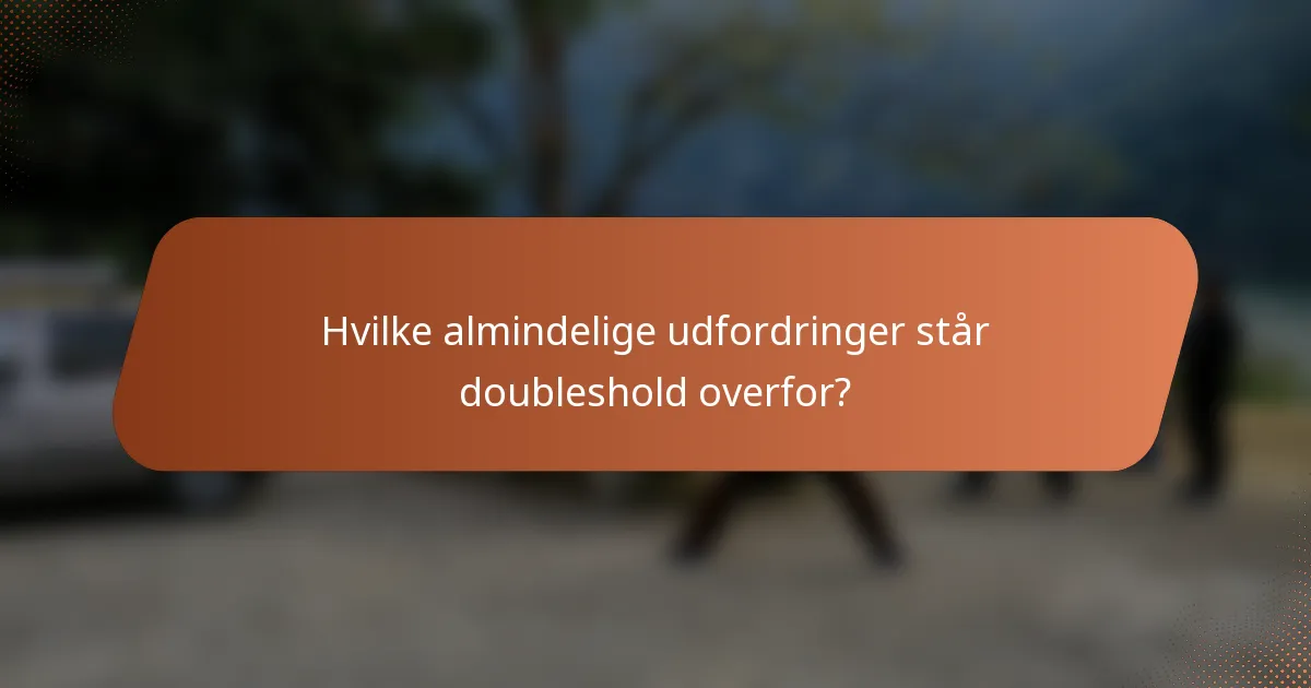 Hvilke almindelige udfordringer står doubleshold overfor?